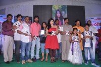 Panchami Audio Function